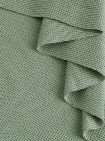 IMG_7993 (Оливка)