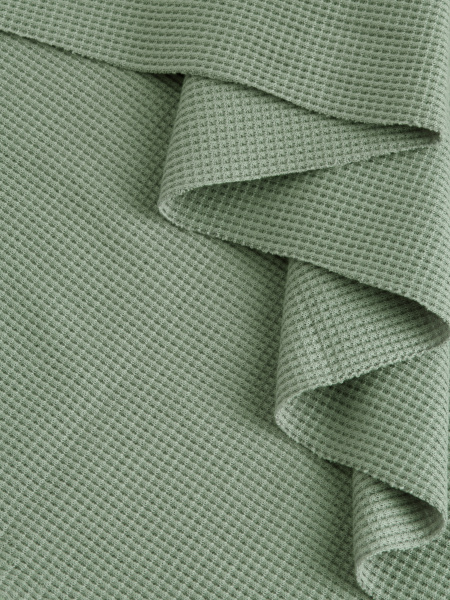 IMG_7993 (Оливка)