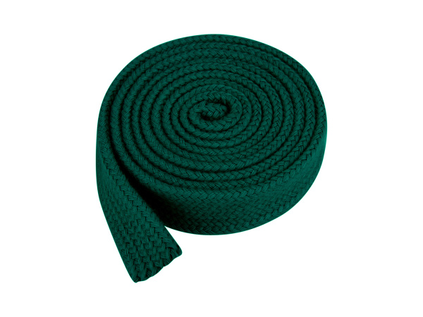 IMG_5002ель copy_w