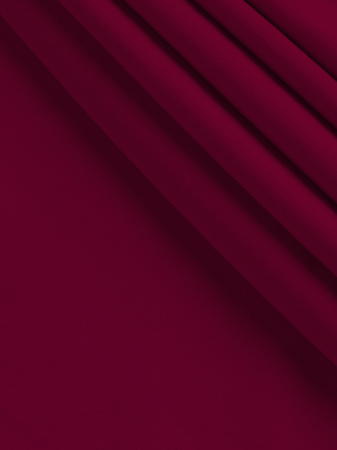 IMG_80031 Брусника